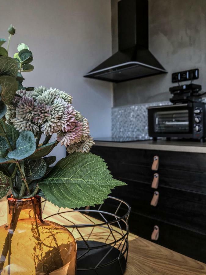 Stylový apartmán přímo u lanovky, vlastní garážové stání Janske Lazne Exterior foto