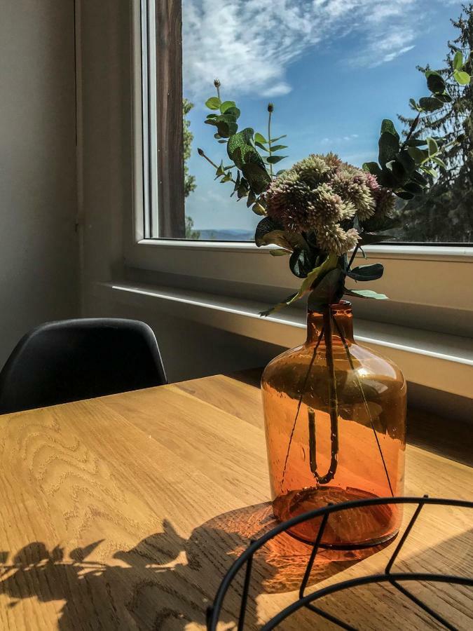 Stylový apartmán přímo u lanovky, vlastní garážové stání Janske Lazne Exterior foto